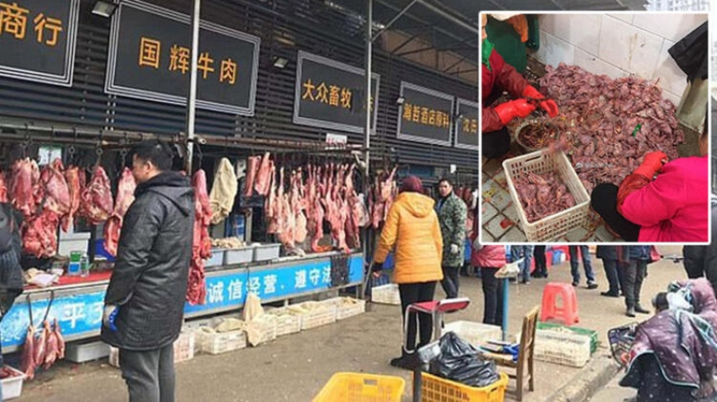                                                                 Koronavir�s�n hastal���n s�f�r noktas� olan Huanan Deniz �r�nleri Pazar�'nda yarasa sat��� yap�lmad��� bilgisi payla��lm��t�.                                                       