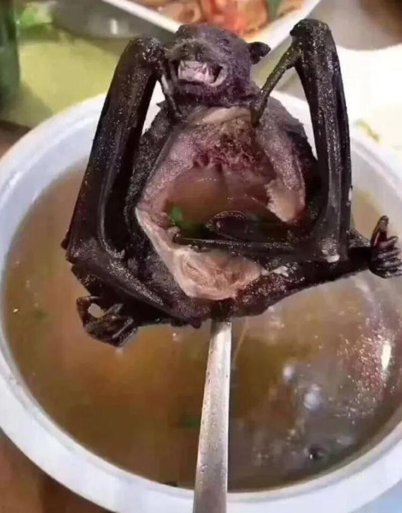                                                                 S�z konusu Paniki adl� yemekte, yarasalar�n kafalar� ve kanatlar� da olmak �zere tamam� kullan�l�yor.                                                       