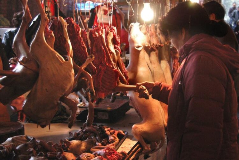                                                                 Koronavir�s salg�n�n�n merkezinde olan bu pazarda, koala etinden y�lana, fareden kurt yavrular�na kadar pek �ok �ey sat�l�yor. �inli yetkililer, burada yasad��� olarak sat�lan vah�i hayvanlara el koyarak incelemeye alm��t�.                                                      