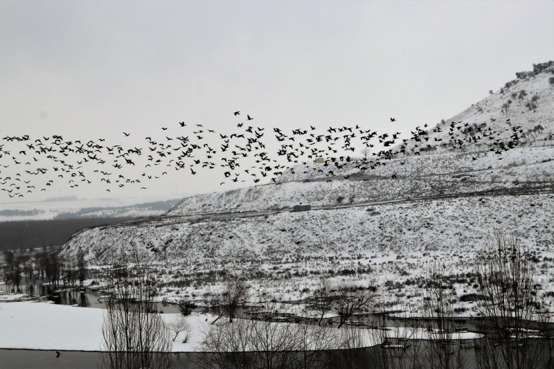 Gneydou Anadolu Blgesi'nde youn kar ya etkili olurken, Diyarbakr'da da dn akam saatlerinde ya balad.
