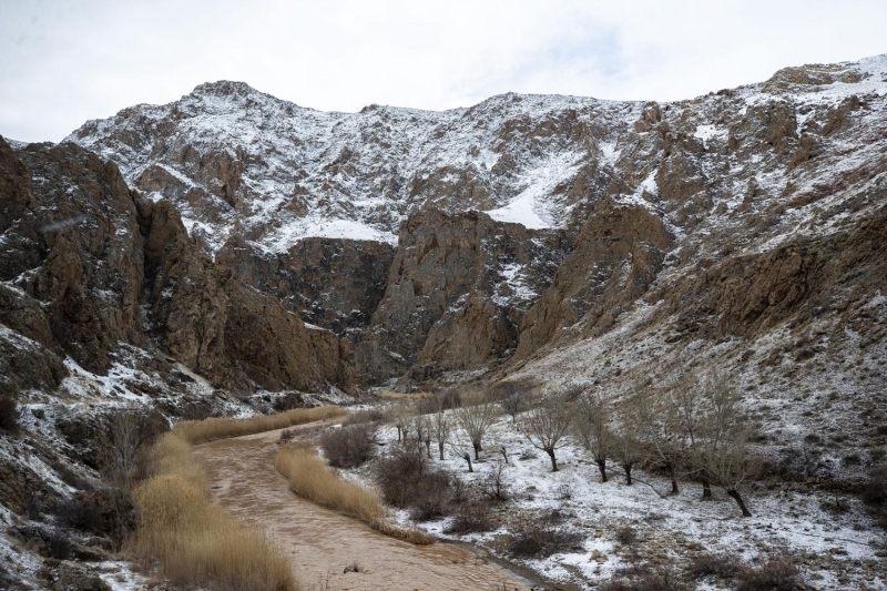 - Glgeleriyle nl Divrii Ulu Cami