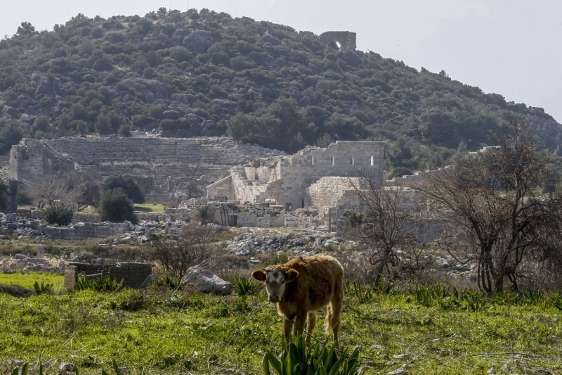 - 'Toplantnn Cumhurbakanmz nclnde yaplmasn ok isterim'