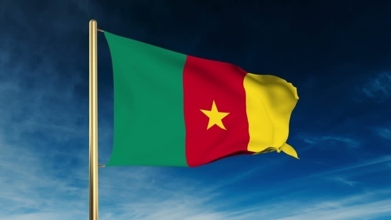 102- Kamerun 347 milyon dolar 