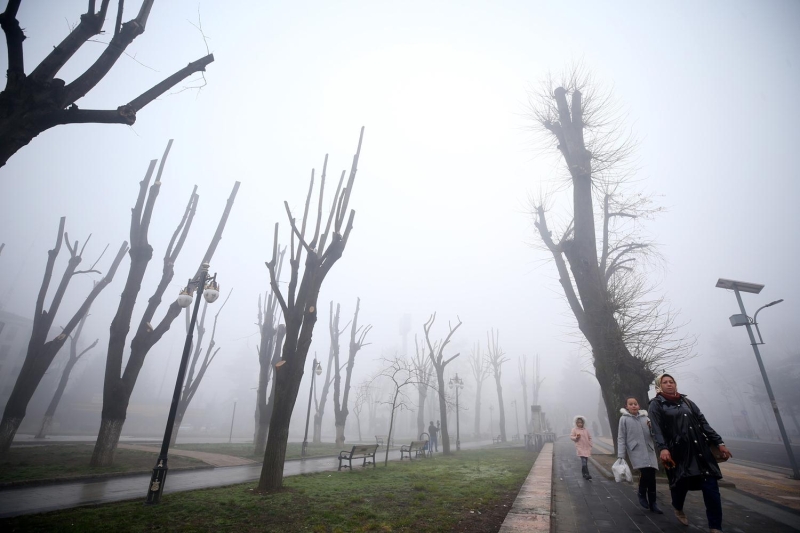 Srcler, ehir merkezindeki ana arterlerden Atatrk Bulvar, stanbul, Mimar Sinan caddeleri ve Dzce-Kalc Konutlar balant yolu ile D-100 kara yolunun oban, ztrkler ve Soanc mevkilerinde sis nedeniyle glkle ilerledi.