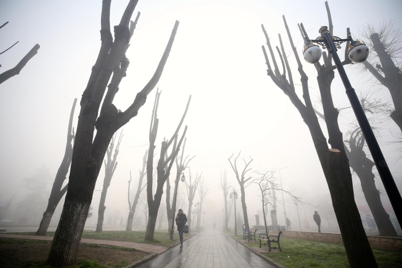 Sakarya'da da kent merkezinde etkili olan youn sis, gnlk yaam olumsuz etkiledi.