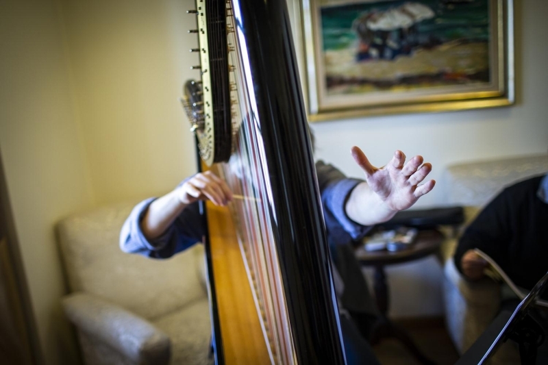 Akyol, '12 bin yllk btn tarih yaamn ters evirebilecek arkeolojik bir kaz kt bizim memleketimizden. Arp 3 bin 700 yl nce Hititlerden kt. Pan tanrasnn elinde bir lir ve flemeli alg vardr, mitolojik eserlerde grlr. Arkeolojik ve tarihsel olarak birleen bir ey. Yllarca dndm ey aslnda bu sene ortaya kt. Arp ve ney toprakta enstrmanlar. Sound olarak da birbirinin iine geen son derece sihirli enstrmanlar. Hitit liri yani Hitit arp bir tek bizde var. AB projesi olarak Ouz Erba'n elinden kan bir enstrman. Arpn Alacahyk'ten ktn deklare etmi oluyoruz. Biz bize ait bir bilgiyi dnya ile paylam olacaz.' deerlendirmesinde bulundu.