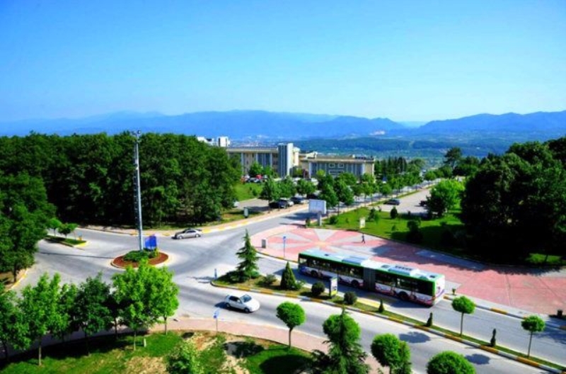                                                                 15 Sakarya <br><br> Mutluluk dzeyi: % 69,64                                                        