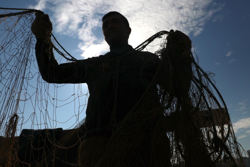 '1,5 aylk zaman zarfnda trol avcl ciddi anlamda devam eder. Ayn ekilde mezgit, barbun, istavrit avcl olur. Arada bir orta sulardan kaak hamsi geliyor. Bu ekilde para para hamsi avcl olabilir. Mezgit, barbun avcl 1,5 ay daha devam edecektir. ok iyiye, ok da ktye gitmeyecektir. Bu srenin sonuna kadar ky balklarmz tarafndan para para levrek avcl olacaktr. Tezgahta piyasaya yetecek kadar lfer avcl olacaktr.'