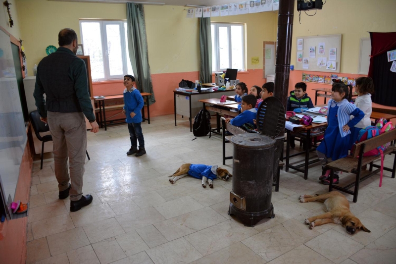 renci ve velilerde byk bir deiim olduunu ve Fndk'a nlk diktiklerini anlatan nlen;