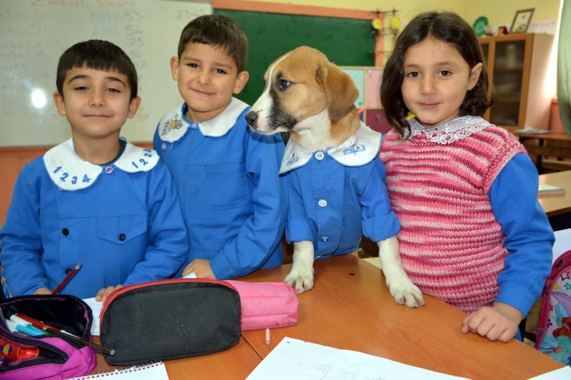 renciler ise 'Fndk' ok sevdiklerini ve onu kendi elleriyle beslediklerini syledi.