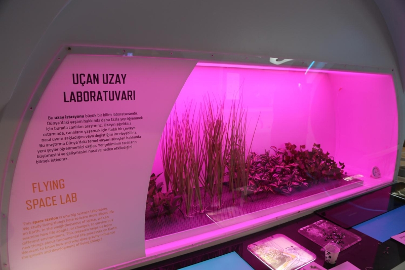 Burkay, Trkiye'nin dnyadaki ilk 10 ekonomi arasna girmeyi hedeflediini hatrlatt.