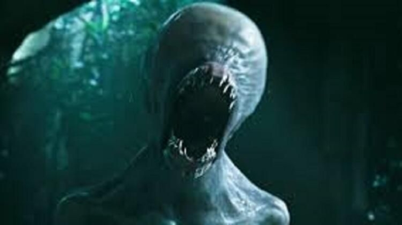   Waring'in yapt bu aklamaya katlanlar olduu kadar, kar kanlar da yok deil.  