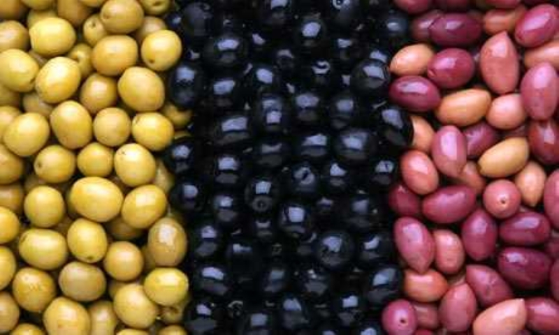  Aratrmaclar, zeytinin sofralarmza gelmeden nce eitlerini ve nasl bir ilemden geerek yenilebilir hale getirildiini yakndan gzlemledikten sonra, elde ettikleri sonular zeytin severler iin bir mjde gibi: 