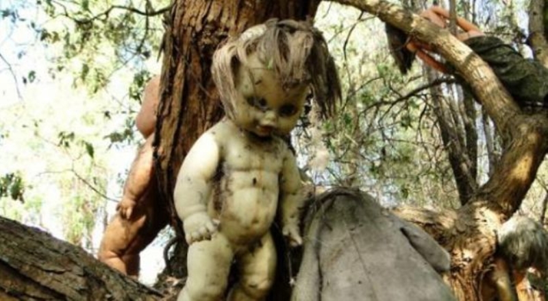 Oyuncak bebekler adas, Meksika   <br>  Meksika'daki bu ada ilgin bir zellie sahip.   