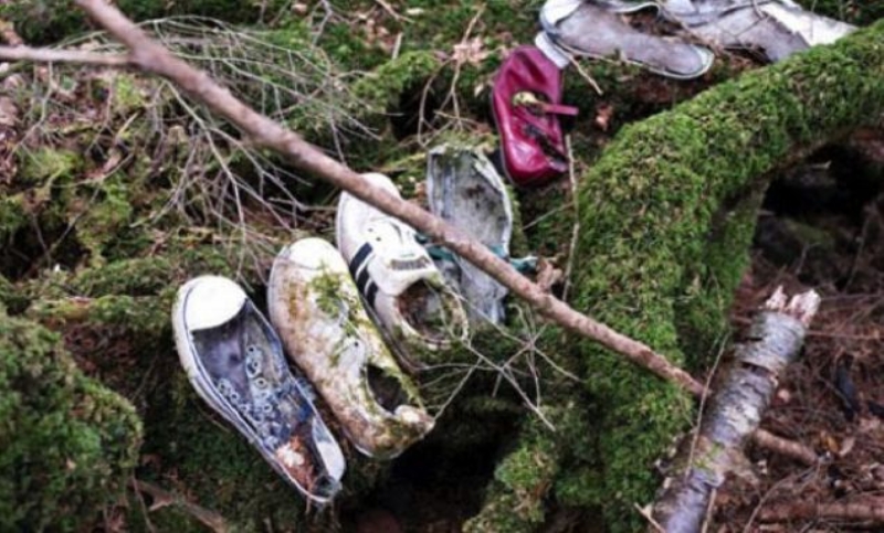 Aokigahara Orman, Japonya <br>    Japonya'da Fuji Da eteklerinde bulunan bu orman korku filmlerine dahi konu oluyor. Her yl yzlerce insann intihar ettii bu ormanda yetkililerin belirledii alanlarn dna kanlarn oundan bir daha haber alnamad.  