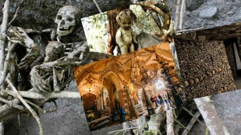 te ou insann girmeye cesaret edemedii, dnyann tyler rperten en korkun 10 yer.   