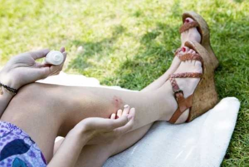 10. Sivrisinek srklarnda sinir bozucu olan kanty yattrr.