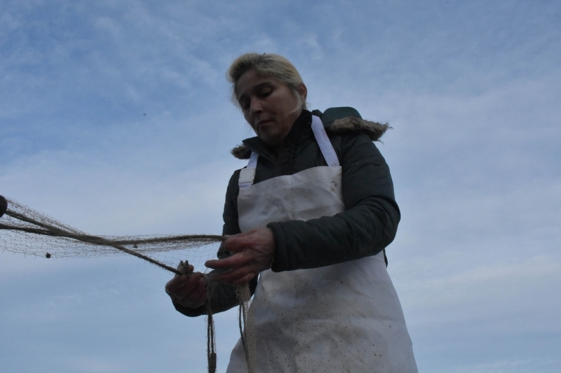 Karadeniz'in kadın reisleri, her sabah nasibine ağ atıyor Foto Galeri