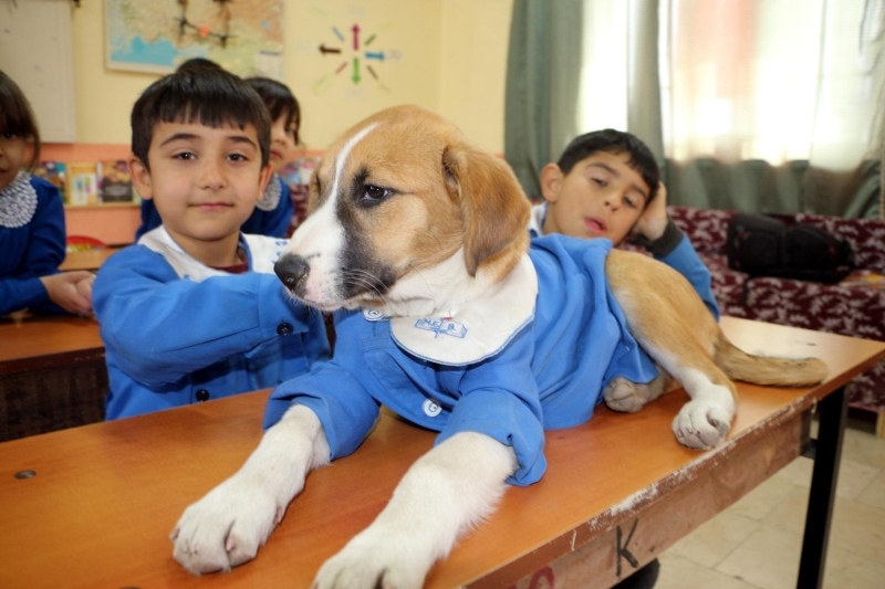 Fndk'n kk bedeni bu hastala daha fazla dayanamad. Fndk pes etti, 3 haftalk mcadeleyi kaybettik...