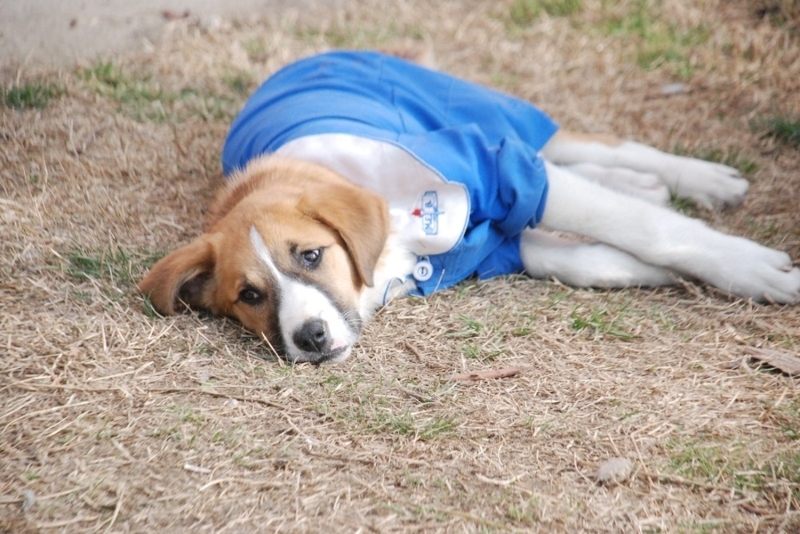 Elimizden gelen her eyi yaptk, btn mdahalelere ramen Fndk' kurtaramadk'