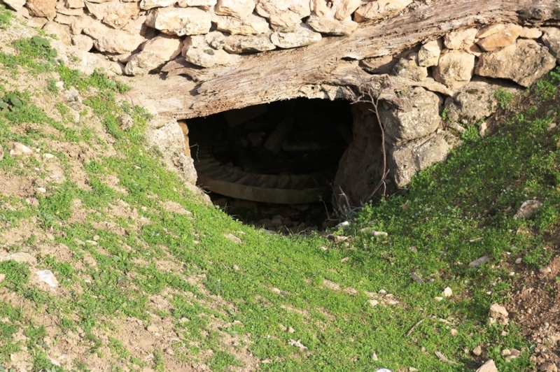 Gnmzde nadiren de olsa kullanlyor maaralar...