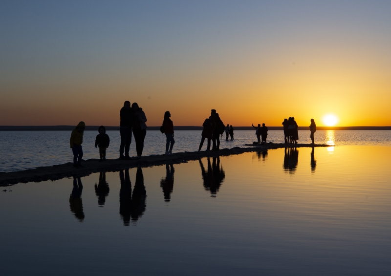 1. Derece Doal Sit alan olarak tescil edilen blgede yrtlen Tuz Gl Biyolojik eitlilik Aratrma Projesi kapsamnda 71 endemik bitki tr tespit edildi. 