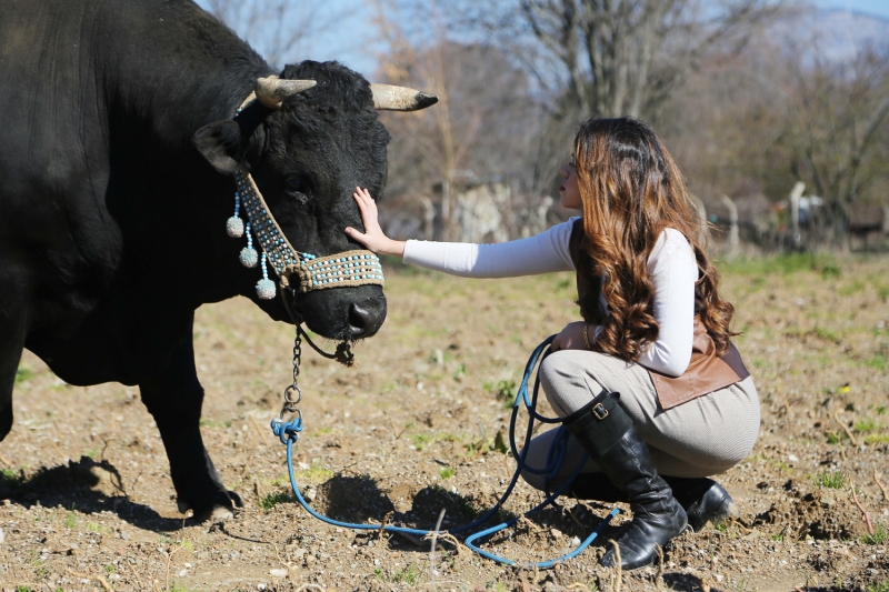 'Benim u an bu ekilde olmamn sebebi de geleneksel bir babaannenin ve modern bir annenin kz olmam. kisinin tam ortasnda yetitirildim. Daha nce bir takipim bana, 'Aleyna Hanm, ben besiciyim ama bu nedenle kymde kimse bana kz vermiyor, iimden dolay kimse benimle evlenmek istemiyor.' dedi. Ben bu mesaj alnca ok zldm ve ok krldm. Buradan unu sylemek istiyorum, insanlar besicilik yapabilir ama bunun kt bir ey olmadn, bilakis hayvan sevmenin, toprakla uramann insana erdem ve hogr kazandrdn belirtmek isterim.'  