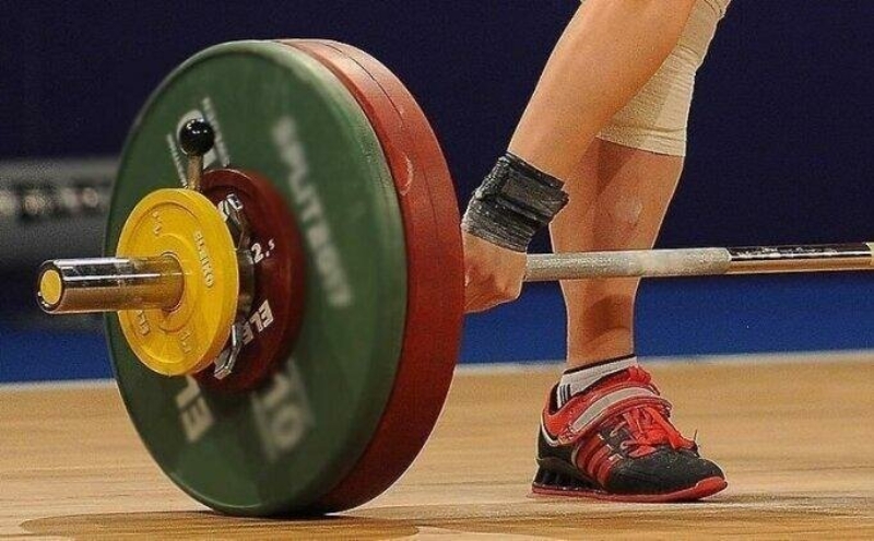 13-21 Nisan tarihlerinde Rusya'n�n ba�kenti Moskova'da d�zenlenmesi planlanan Avrupa Halter �ampiyonas�, yeni tip koronavir�s (Kovid-19) nedeniyle Haziran ay�na ertelendi.