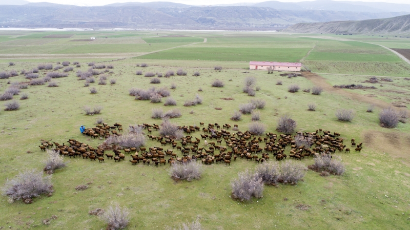 - 'Bu dnemde st retimi yapmyoruz'  