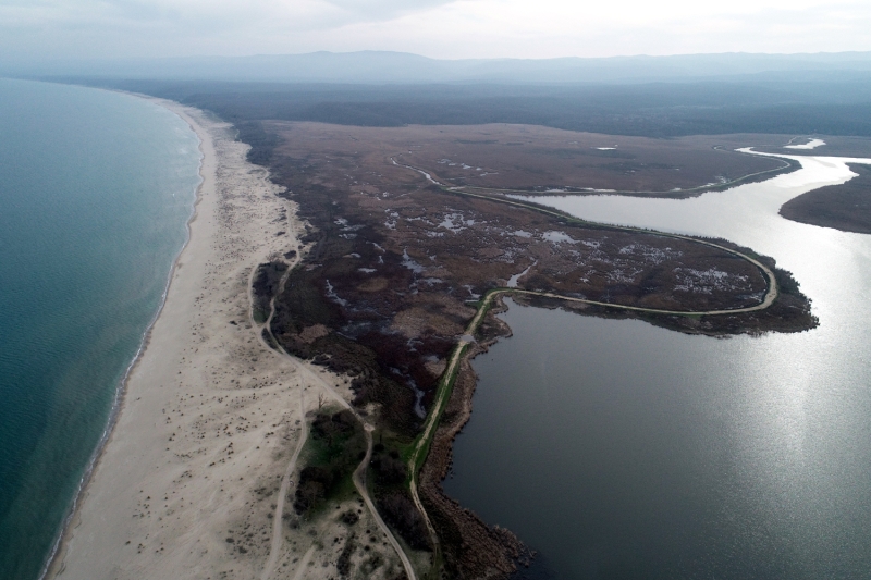 <p>Gerek meyvesi gerek el aleti yapımında kullanılan sürgünleri gerekse kereste sanayisinde kullanılan gövdesiyle potansiyel bir ekonomik değere sahip kestanenin de geçen yıl ihracatından 35 milyon 837 bin dolar kazanç sağlandı.</p>
