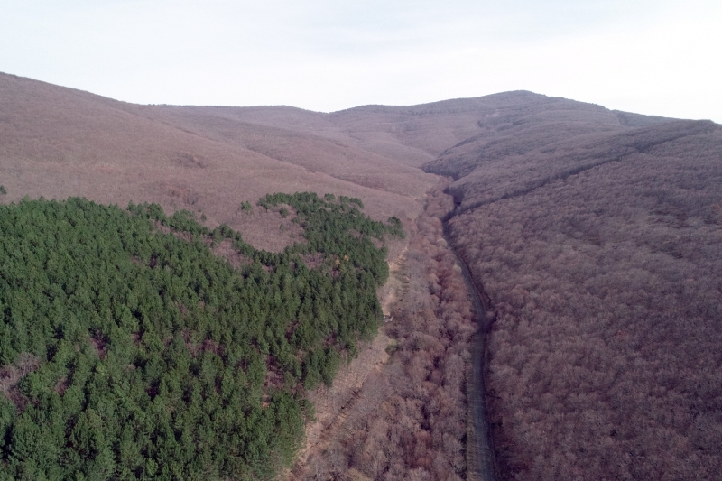 <p>Yemeklerde tatlandırıcı olarak tüketilen biberiye ihracatından gelir 1 milyon 715 bin doları bulurken, gıda, kimya ve ilaç sanayisinde kullanılan adaçayının dış satımından 8,7 milyon dolar gelir kayıtlara geçti.</p>