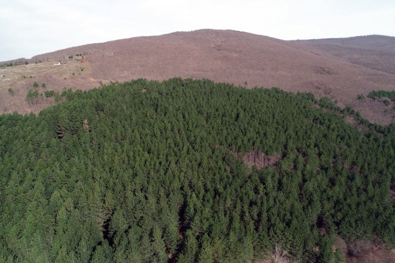 <p>Bazı tıbbi ve aromatik bitkilerin ihracatından elde edilen gelir (milyon dolar) şöyle:</p>