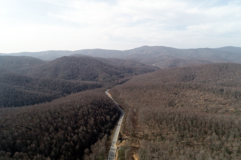 <p>İğneada Longoz ormanları</p>