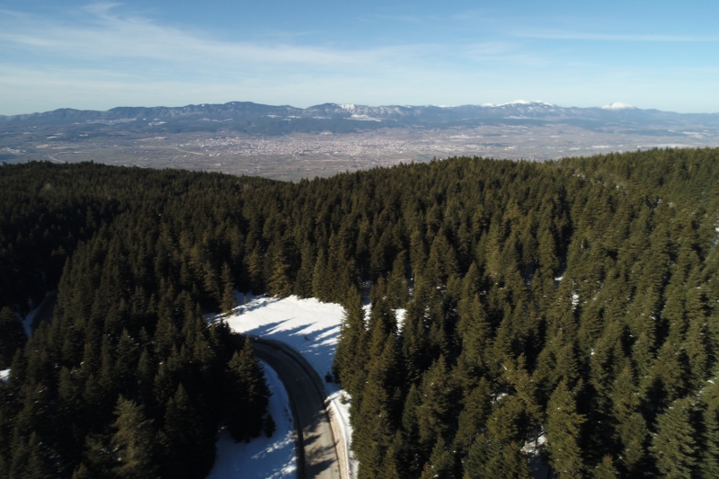 <p>Abant Gölü Tabiat Parkı</p>