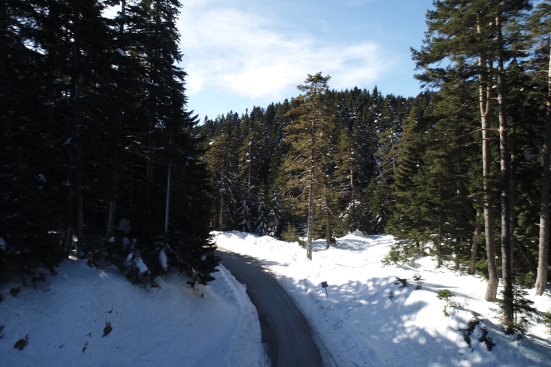 <p>Abant Gölü Tabiat Parkı</p>