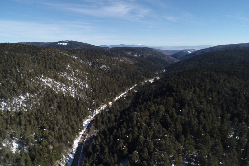 <p>Abant Gölü Tabiat Parkı</p>