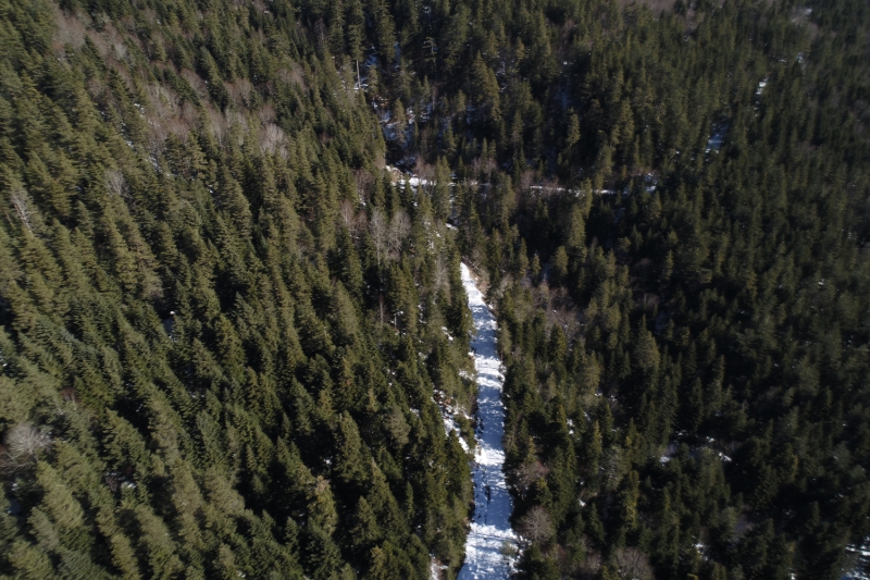 <p>Abant Gölü Tabiat Parkı</p>