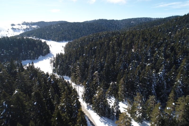 <p>Abant Gölü Tabiat Parkı</p>