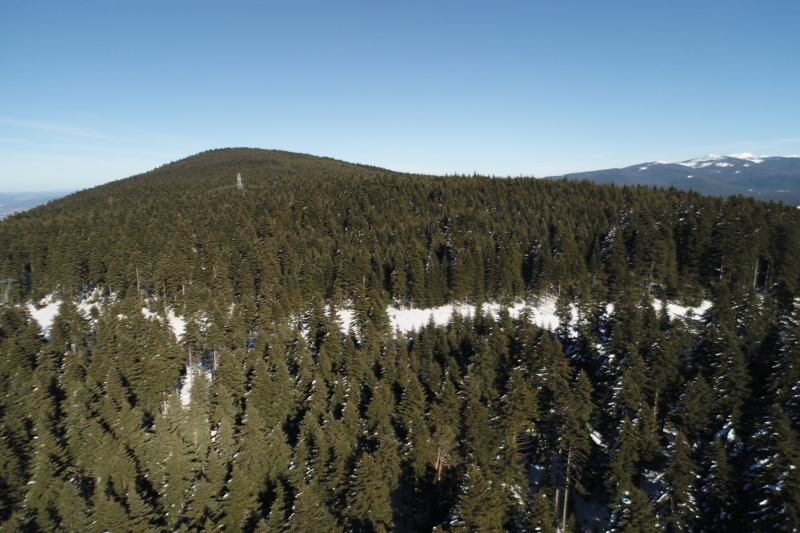 <p>Abant Gölü Tabiat Parkı</p>