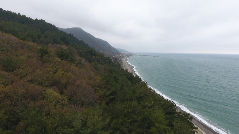 <p>Kastamonu Abana Ormanı</p>