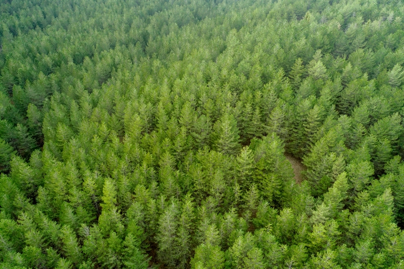 <p>Isparta'daki Gölcük Tabiat Parkı<br></p>