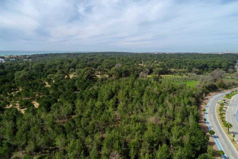 <p>Isparta'daki Gölcük Tabiat Parkı</p>