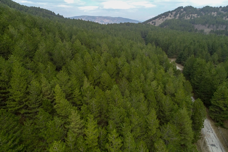 <p>Isparta'daki Gölcük Tabiat Parkı</p>