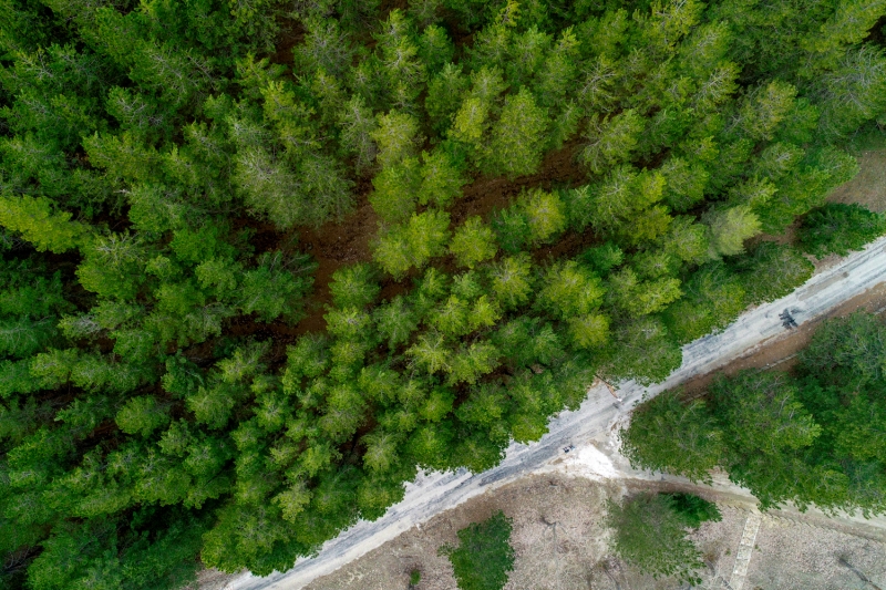 <p>Isparta'daki Gölcük Tabiat Parkı</p>