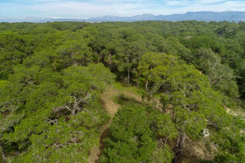 <p>Isparta'daki Gölcük Tabiat Parkı</p>