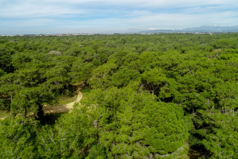 <p>Isparta'daki Gölcük Tabiat Parkı</p>