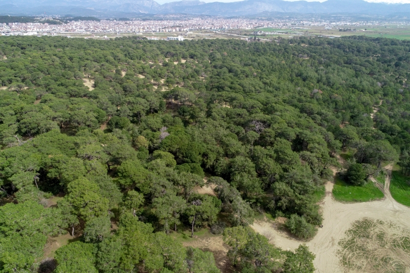<p>Isparta'daki Gölcük Tabiat Parkı</p>