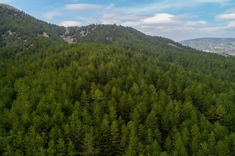 <p>Isparta'daki Gölcük Tabiat Parkı</p>