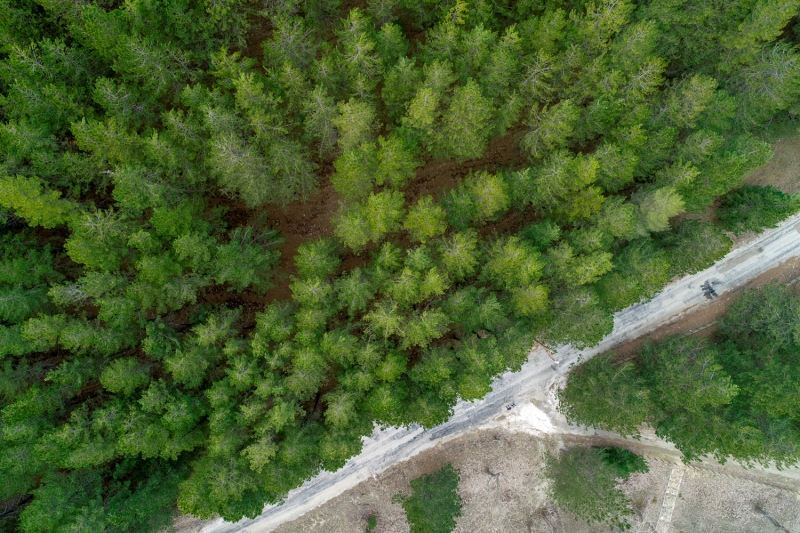 <p>Isparta'daki Gölcük Tabiat Parkı</p>