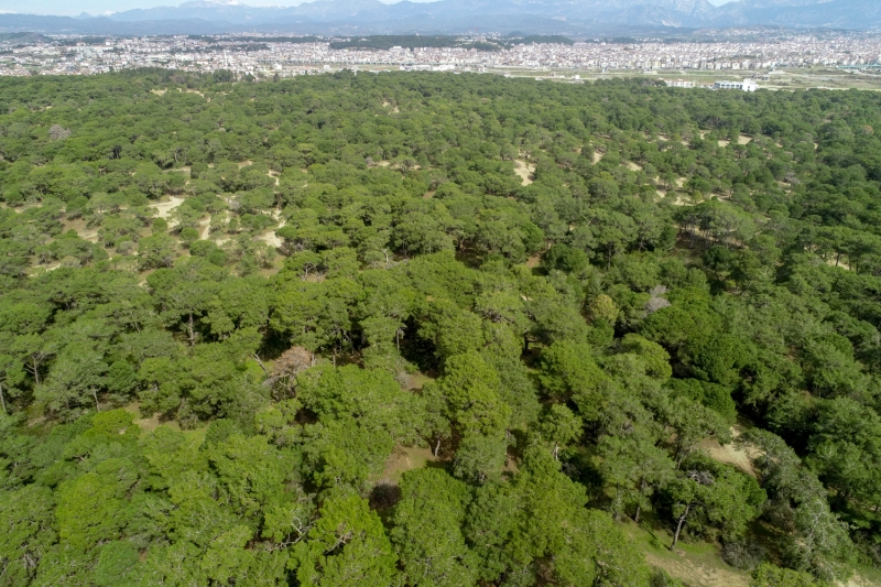 <p>Isparta'daki Gölcük Tabiat Parkı</p>